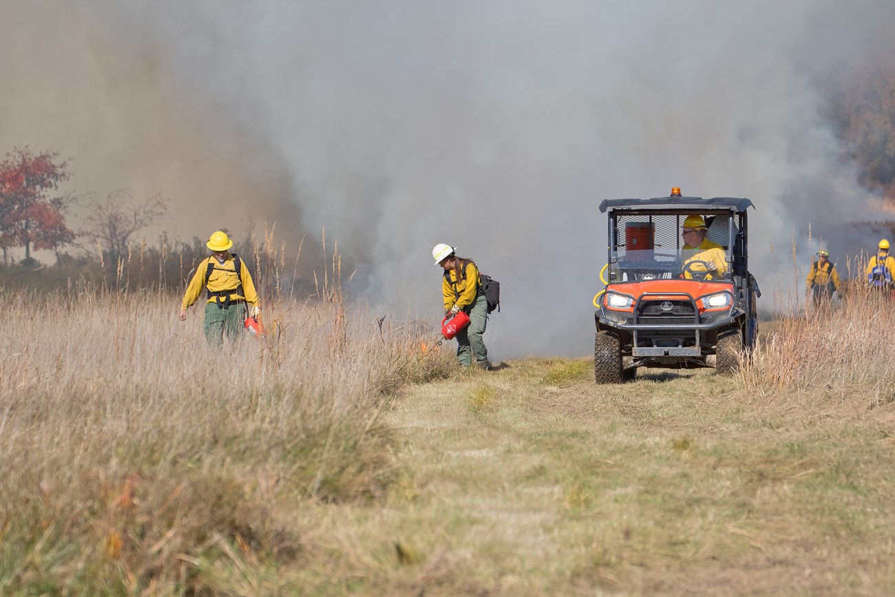 Several firefighters in yellow shirts use drip torches to ignite brown grassy vegetation.