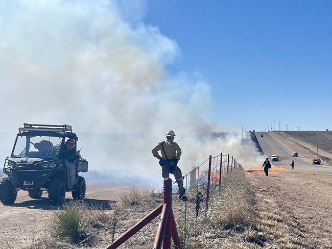 NPS_Fuels Management_LAMR_Jason McDaniel_NPS_2025_02.2 Firefighters using drip torches near a highway in Texas.