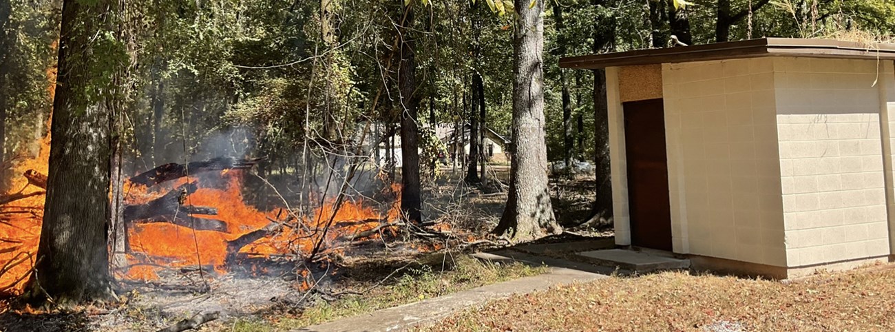 NPS uses prescribed fire as a tool to reduce wildland fuel around park infrastructure at Arkansas Post National Memorial. Flames consume dead and down wood and logs on the forest floor near structures.