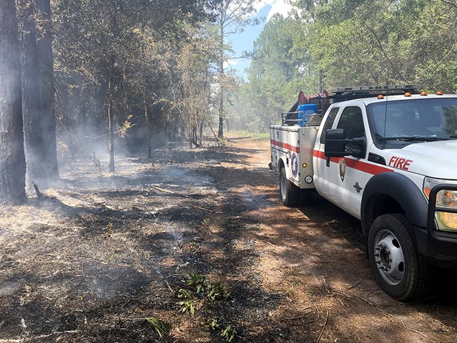 Interagency crews responded to the Red Trail Fire. Interagency crews responded to the Red Trail Fire.