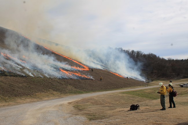 Firefighters ignite fire on a slope while other fire staff take notes and use camera across a road.