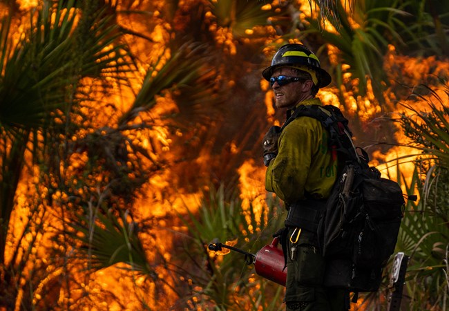 A wildland firefighter holding a drip torch near tropical vegetation in flames