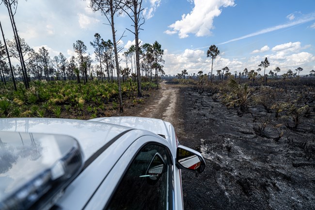 lt= A vehicle on a dirt road that has burned area on one side and unburned vegetation on the other