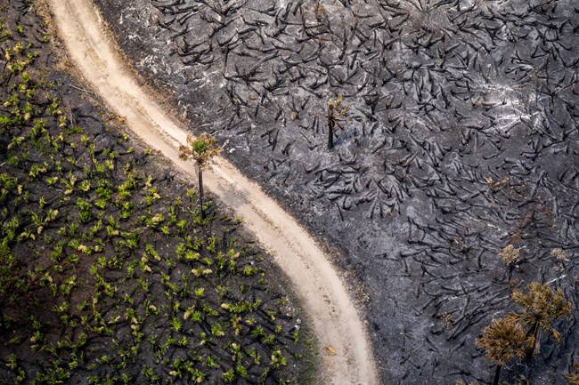 lt= Aerial view of a dirt road with a large burned area to its right and vegetation to its left