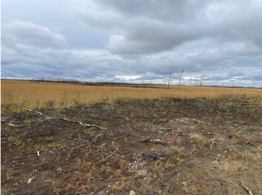 A large open, flat area showing a burn scar