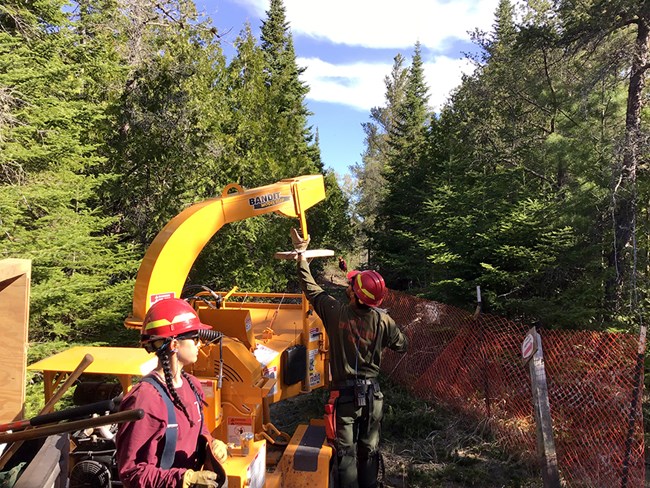 Firefighters using a woodchipper to dispose of hazardous fuels to clean up around structures to reduce fire risk. Firefighters using a woodchipper in between forested area.