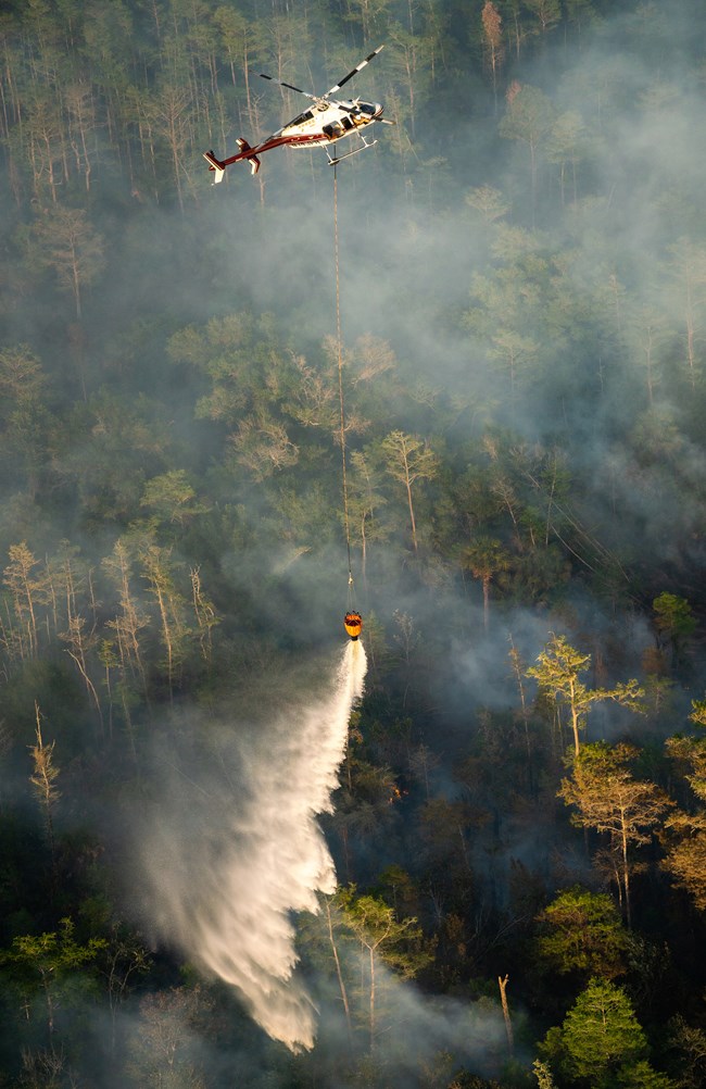 Interceptor Fire bucket drops A helicopter drops water from a bucket on a forest fire.