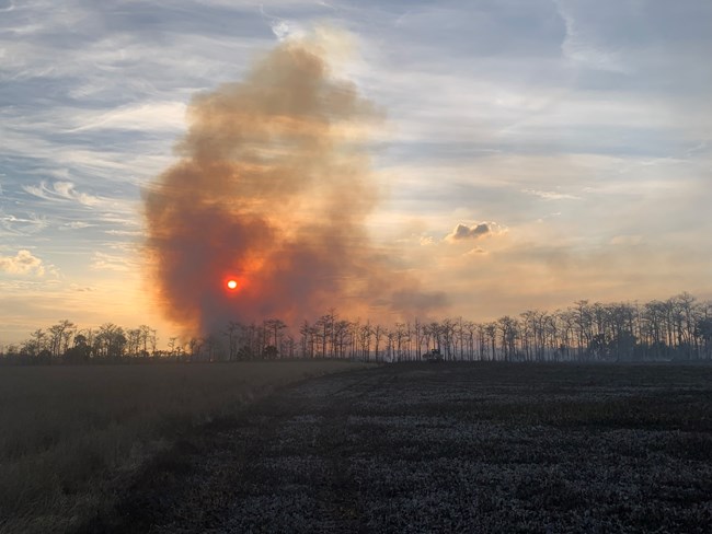 MM65 wildfire Smoke covers the sun over a marsh.