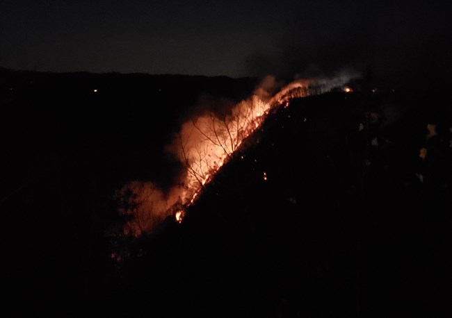 Fire burning below Wild Rock Flames on a hillside at night.