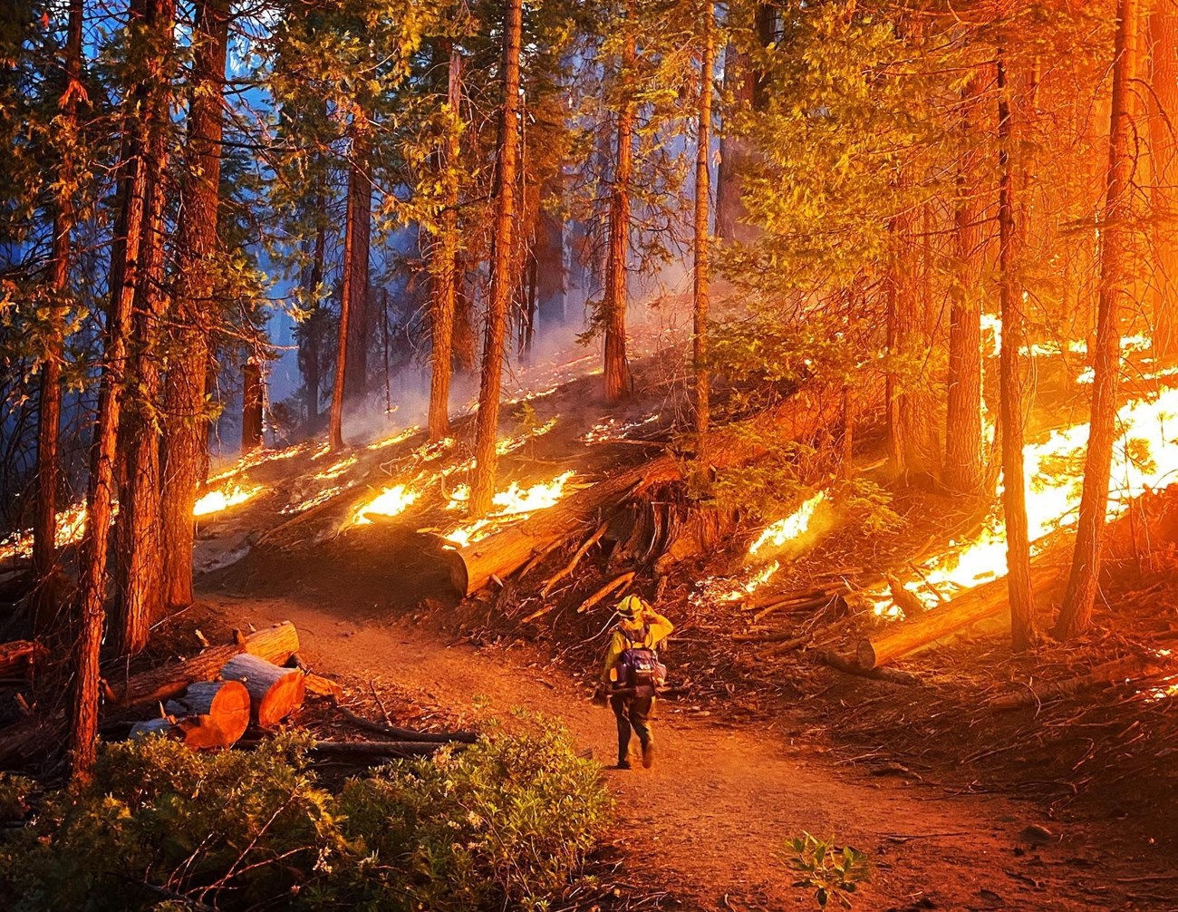 Washburn Fire A firefighter walks along a road at night beside flames engulfing vegetation.