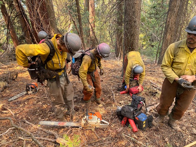 Firefighters gather near a tree with firefighting gear and packs spread around them.