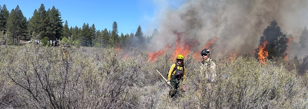 Crater Lake National Park module leader, John Harwood, discussing firing plan with TNC crewmember. Two firefighters holding droptorch and handtools stand in shrubs while a fire burns behind them.