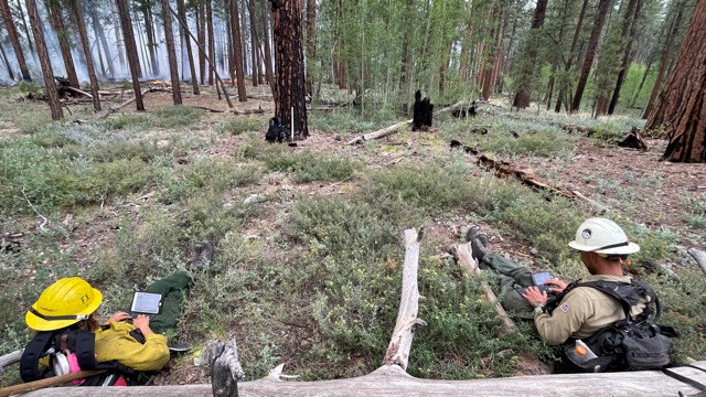 Firefighters use GIS technology in the field. Two firefighters sit in the forest entering data into tablets.