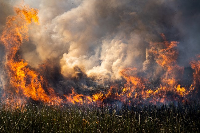 Large flames burn in grass with thick smoke rising