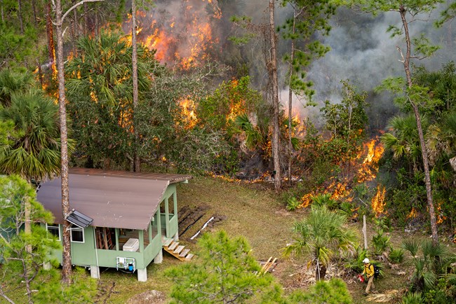 A fire burns in a tropical forest around a small structure in a clearing