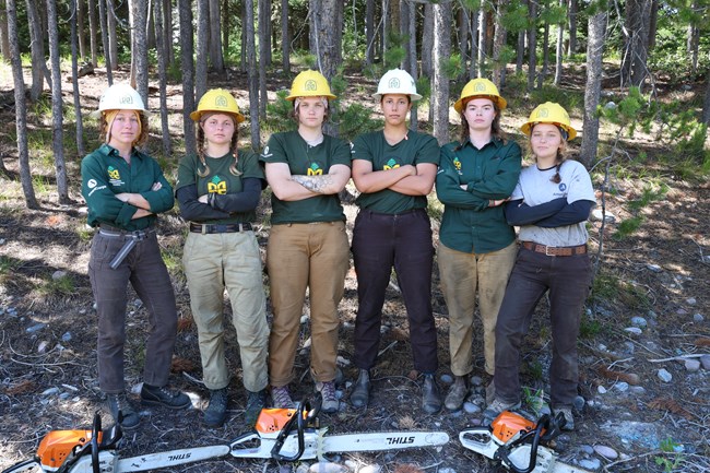 6 women wearing hard hats and matching shirts stand with arms crossed with chainsaws on the ground in front of them