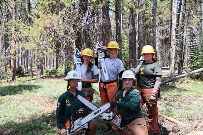 5 women wearing hard hats pose for the camera holding chainsaws