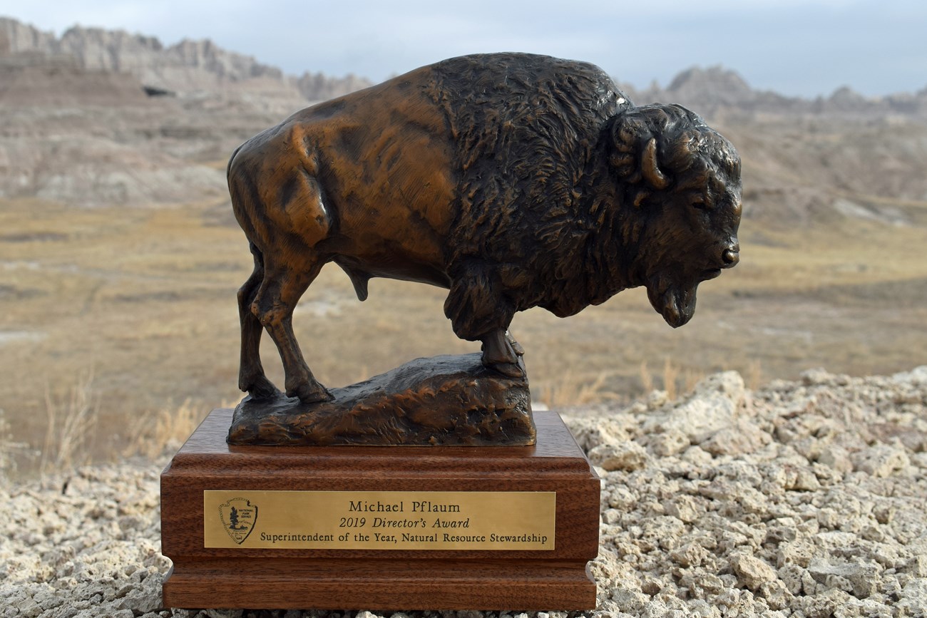 statuette of a bison sitting in a field