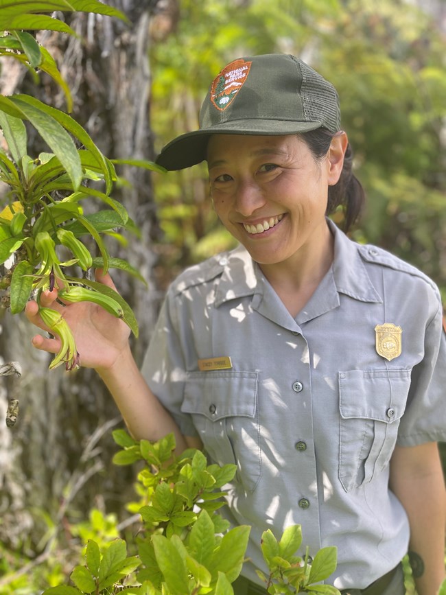 A uniformed person in a green ball cap touching a long-leafed green plant.