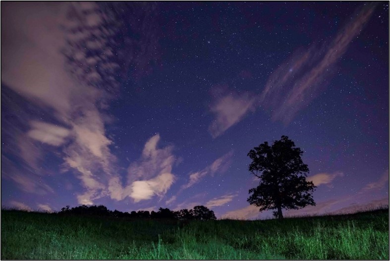 Photo of the early night sky viewed above a lone tree and a more distant group of trees. The sky is still blue with some bright clouds, but many stars are visible, including some particularly bright ones. Photo of the early night sky viewed above a lone tree and a more distant group of trees. The sky is still blue with some bright clouds, but many stars are visible, including some particularly bright ones.