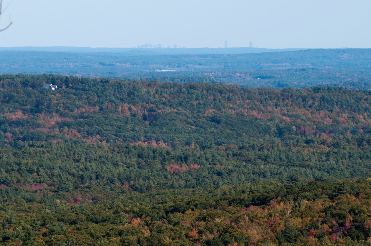 A view of forested rolling hills in fall colors with the city of Boston in the distance