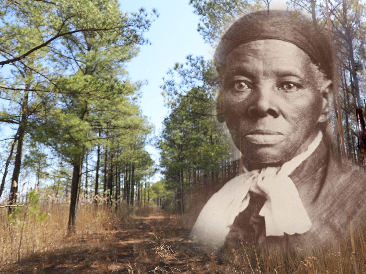 Photograph of Harriet Tubman transposed on a wooded area