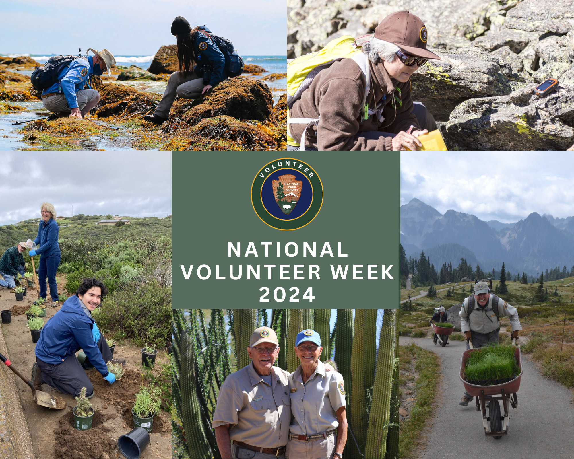 National Volunteer Week Collage 2024 A collage of volunteer photographs around the Volunteer-In-Parks logo.