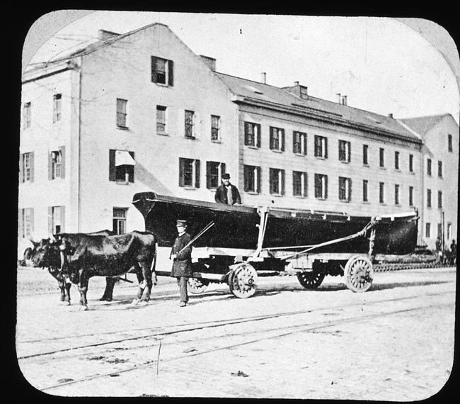 two oxen pull a large cart carrying the hull of a ship in the yard. A man walks behind the oxen directing them.