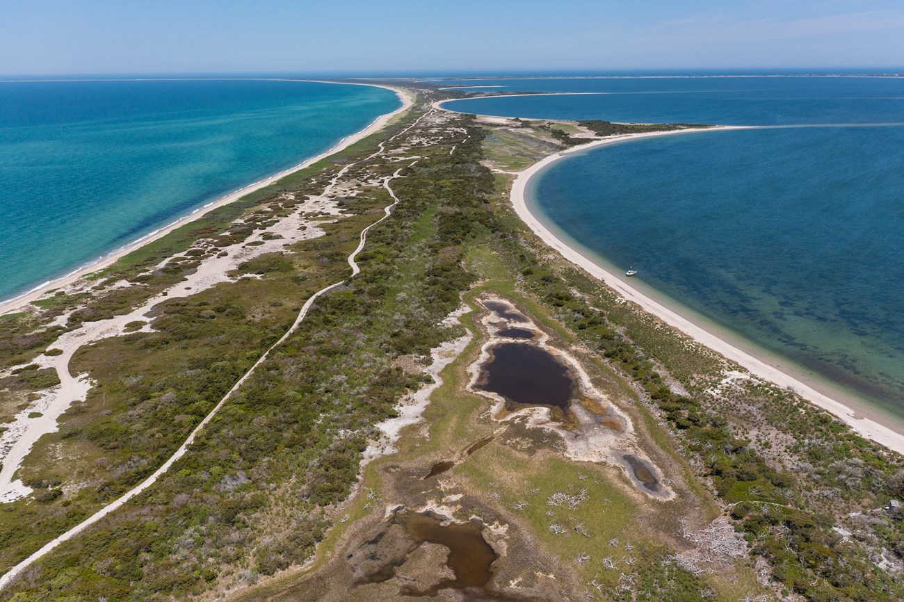 Nantucket Barrier Beach and Wildlife Refuge an aerial view of a thin spit of land with ocean on either side. On the right side of this thin land mass, there are a series of rhythmic cuspate spits that gut out in a rhythmic arcing pattern