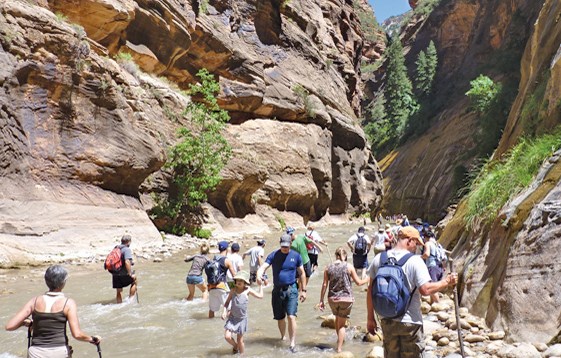 About 20 people wade in a shallow stream.