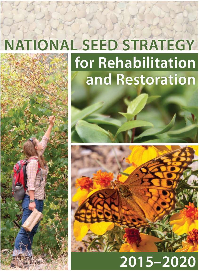the cover of the "National Seed Strategy for Rehabilitation and Restoration 2015-2020" with images of a person gathering seeds, a butterfly on yellow flowers, green leafy plants, and seeds