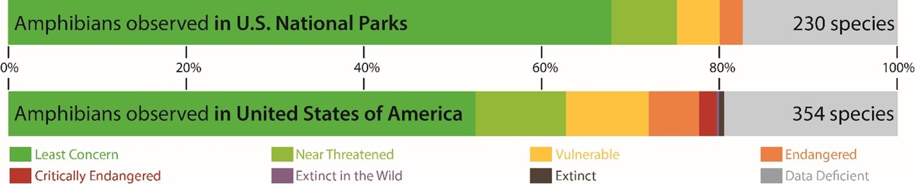 A graph comparing the proportion of amphibians (in each category of concern: least concern, near threatened, vulnerable, endangered, critically endangered, extinct in the wild, extinct, data deficient) observed in National Parks versus the US in general.