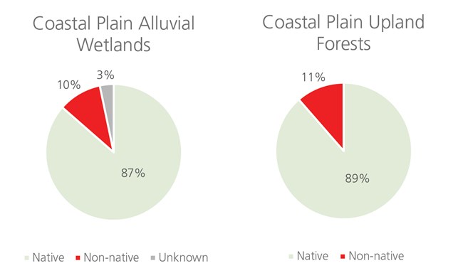 pie charts