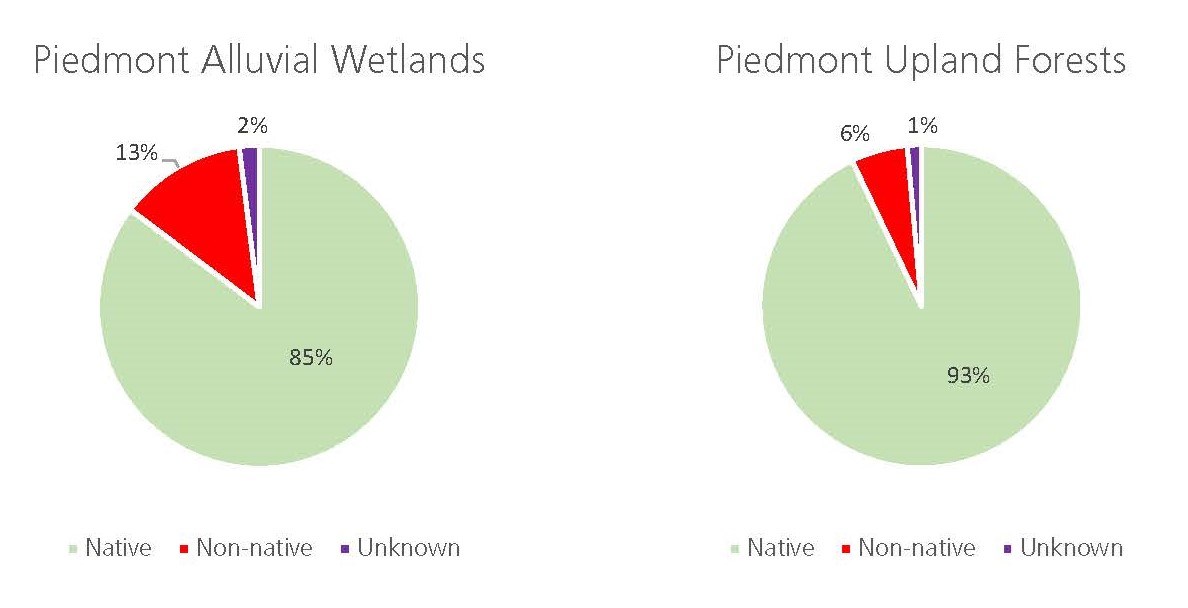 Pie charts showing the occurrence of native and non-native species in the two habitats. Native was 85% in Piedmont Alluvial Wetlands and 93% in Piedmont Upland Forests. Non native were 13% and 6% respectively.