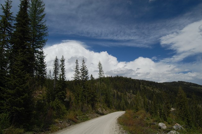 Color photograph of a gravel road running through a mountain forest with green trees and blue sky.