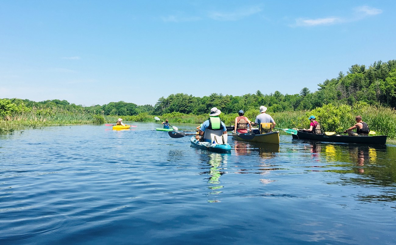 five boats paddle down a calm river with green vegetation on each riverbank