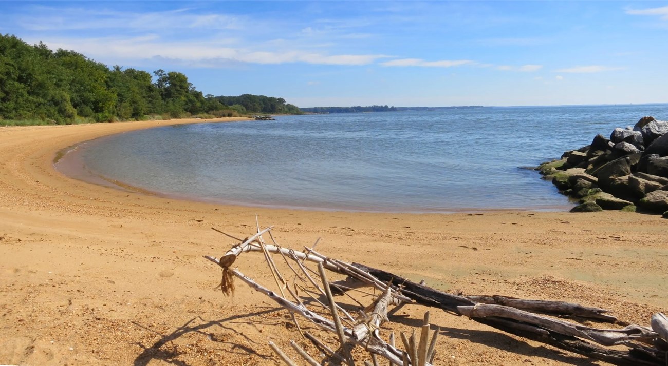 Newtowne A beach with water.
