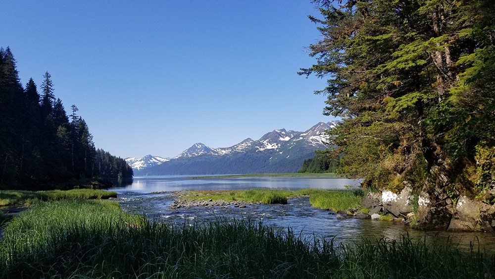 A bay and inlet.