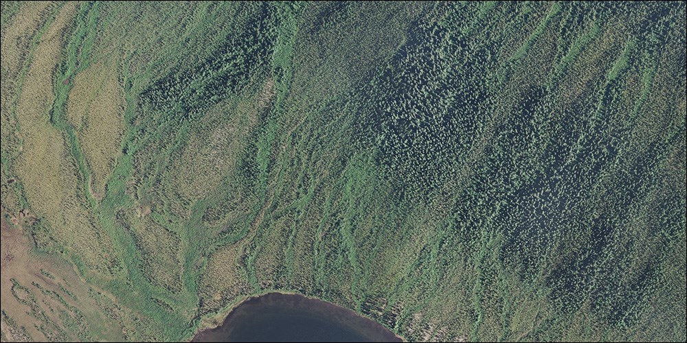 An aerial image showing water tracks that fill a lake.