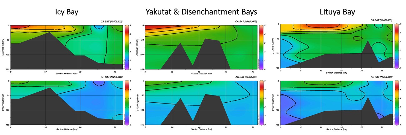 A series of six graphs showing ocean acidification parameters in three locations.