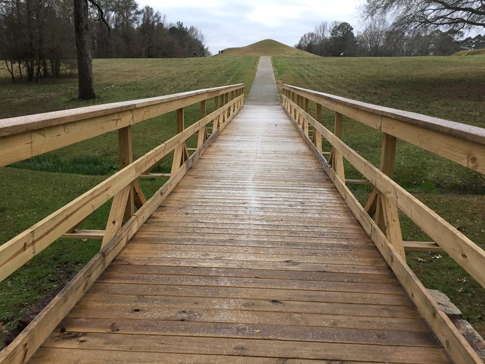 Bridge extending down to a green field Bridge extending down to a green field