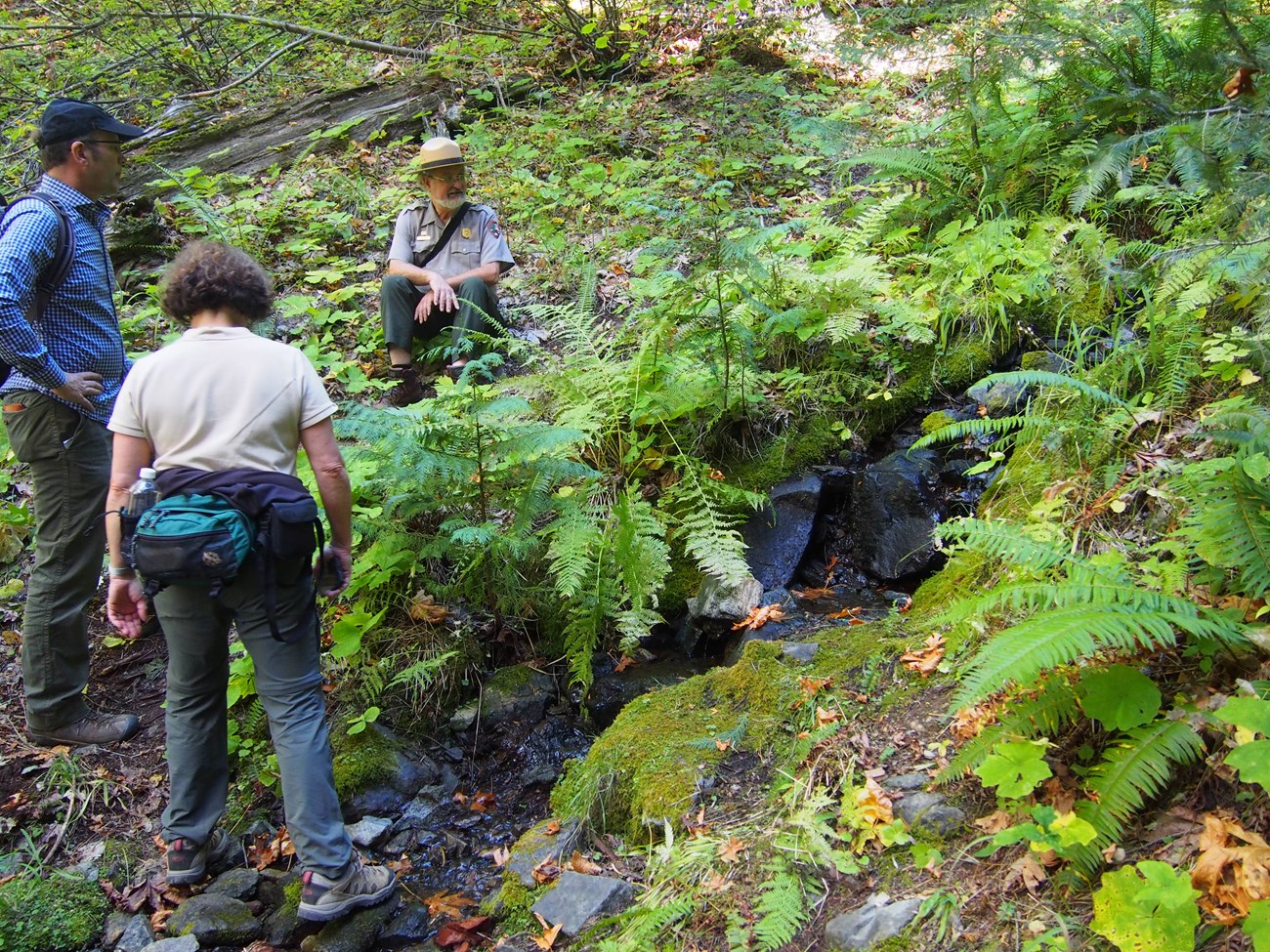 Three people examine a narrow, rocky creek surrounded by lush green vegetation.
