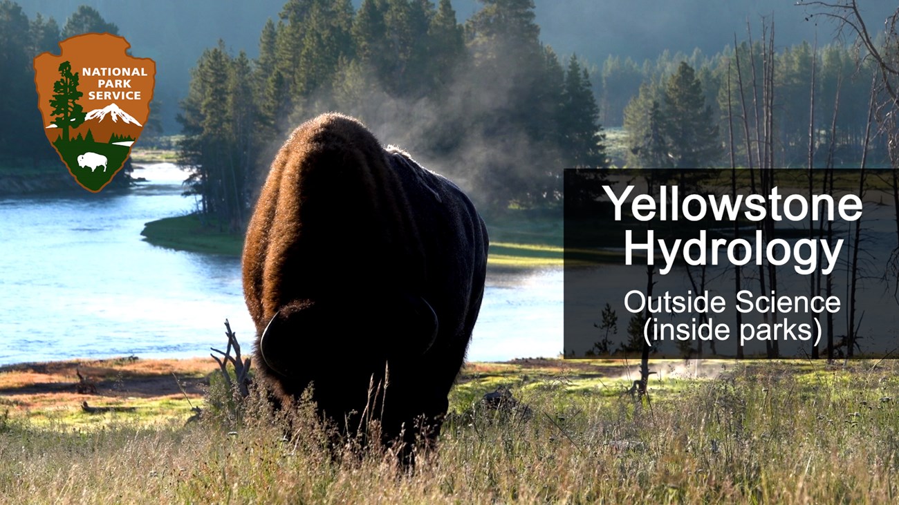 Outside Science (inside parks) Yellowstone Hydrology Title image for Outside Science (inside parks) Yellowstone Hydrology with image of a bison next to a river.
