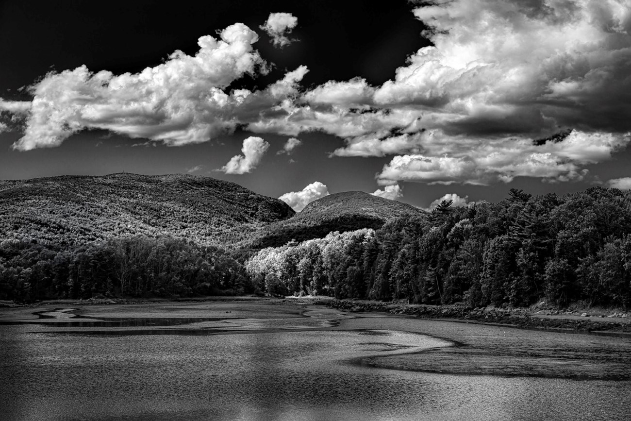 Black and white landscape photo of forest-covered mountains and billowing clouds with water rippling and reflecting in the foreground