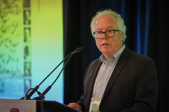 Peter Pollock