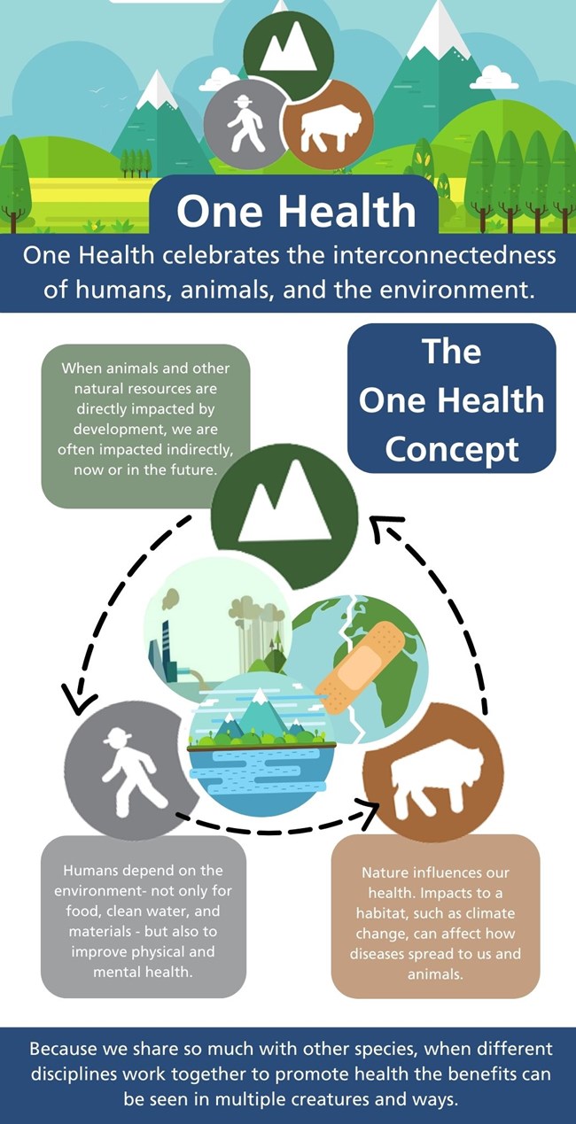An infographic explaining the concept of one health. Full alt text available below the image