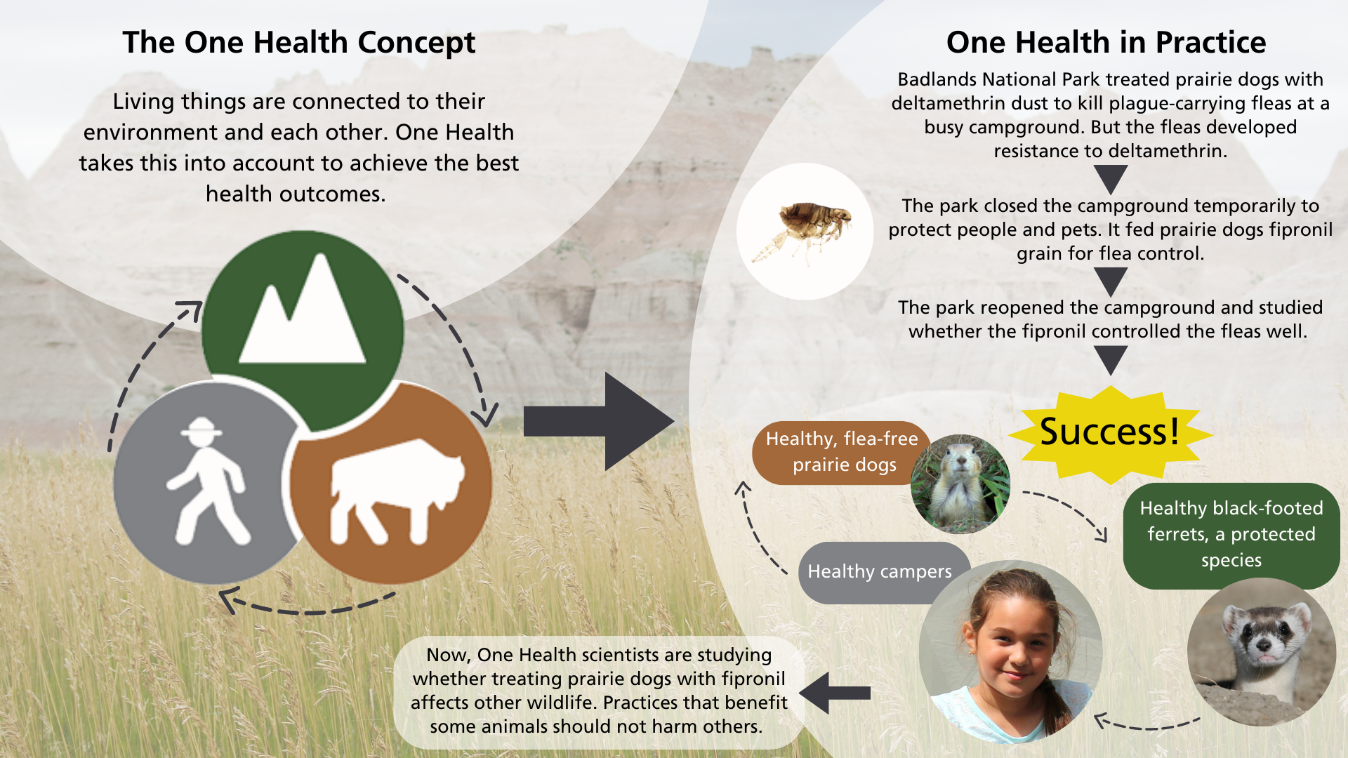 Graphic illustrating One Health in concept and practice against a backdrop photo of grasslands backed by towering layered rock formations.