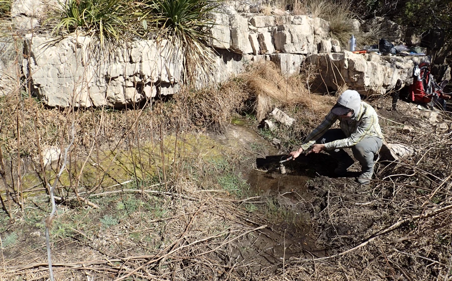 Upper Lowe Ranch Spring A rock shelf in the side of a hill leaking water into the area below it that has some small green plants and lots of dried-up plant material. A person is crouched down beside the wet area holding a piece of scientific equipment.