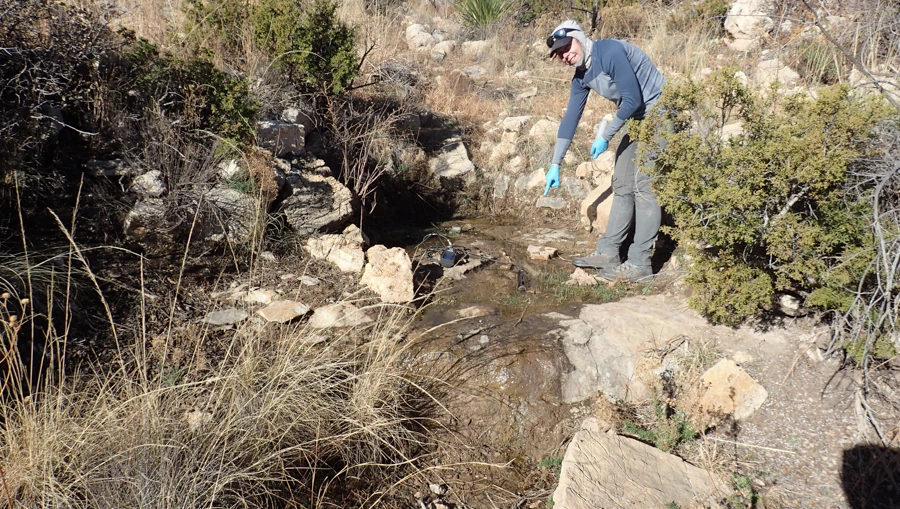 Upper Lechuguilla Spring A very shallow pool of water that emerges from under rocks in the side of a desert drainage surrounded by dried grasses and sparse shrubs. Below the pool, the drainage has areas where the water resurfaces as it flows downhill.