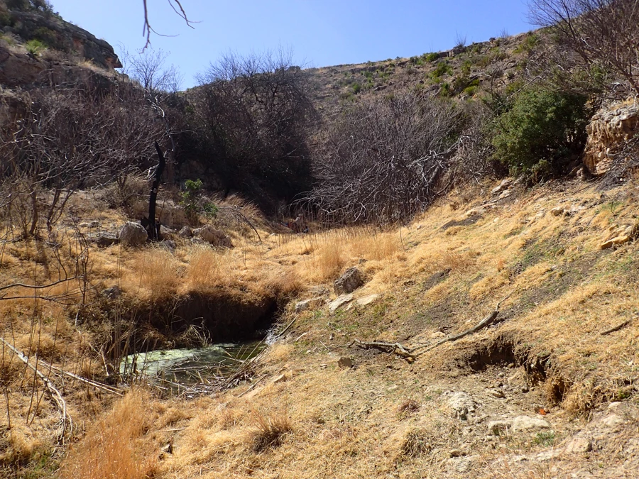 Oak Spring Small pool and stream of water at the bottom of shallow desert canyon that is covered in dormant grasses and shrubs.